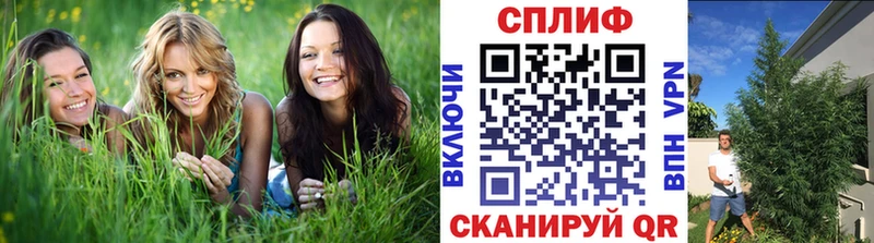 Как найти наркотики Волчанск КОКАИН  A PVP  Каннабис  Меф мяу мяу 